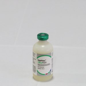 INGELVAC CIRCOFLEX X 50 DOSIS