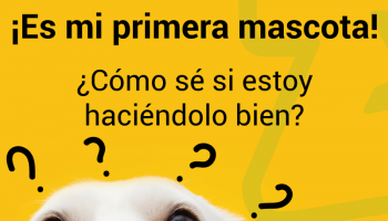 ¡Es mi primera mascota!