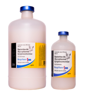 Respisure ONE x 50 Dosis-Mycoplasma
