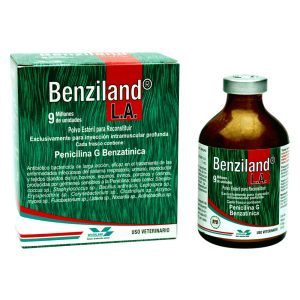 Benziland L.A.