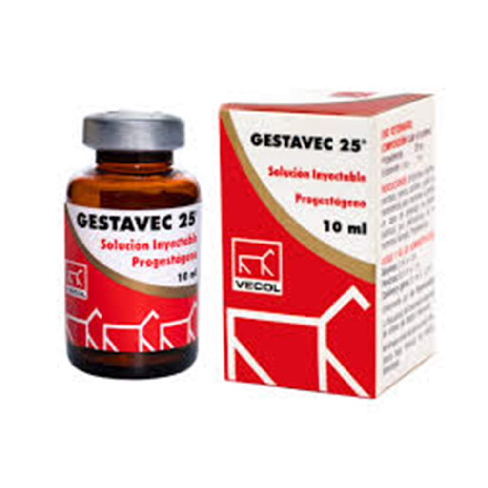 gestavec-25