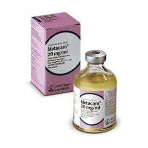 Metacam – 20mg