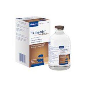 Tulissin 100
