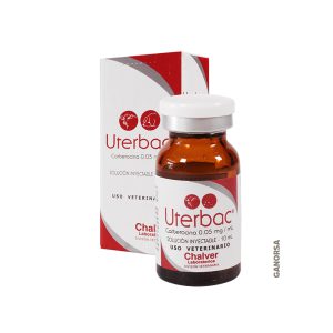 Uterbac